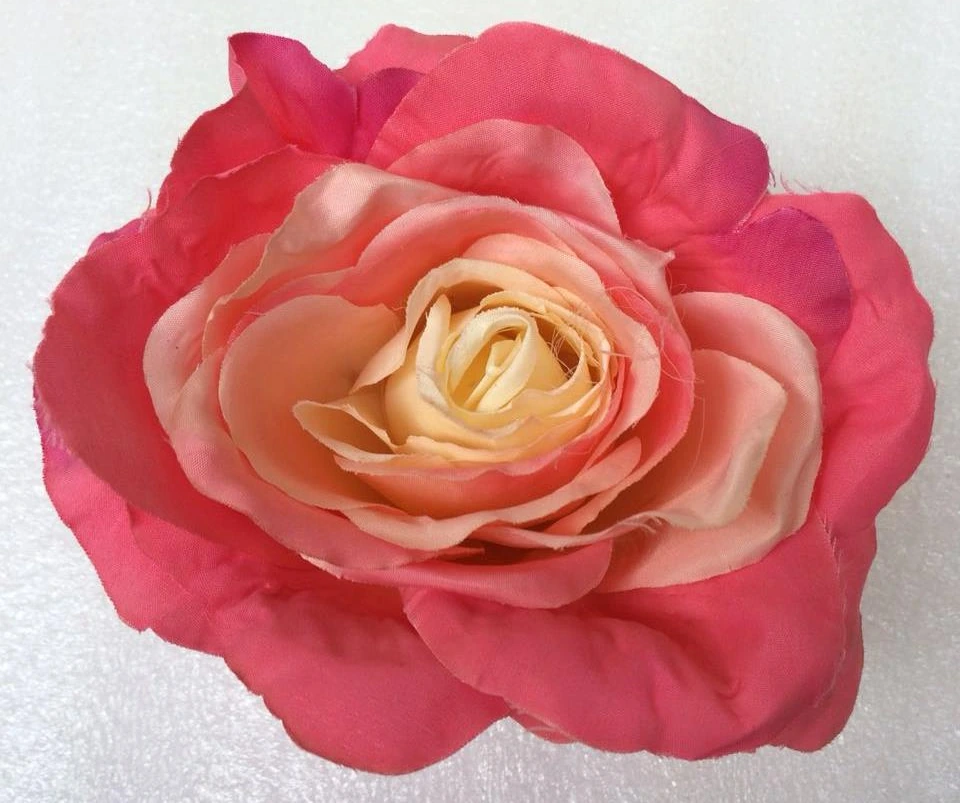 Rose Buds Big